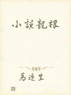 小说龙根