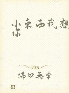 小东西我想弄坏你