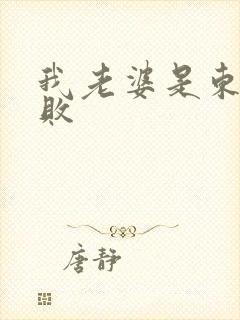 我老婆是东方不败