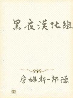 黑夜汉化组