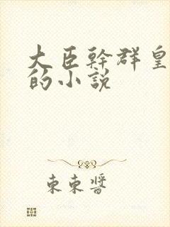 大臣干群皇太后的小说