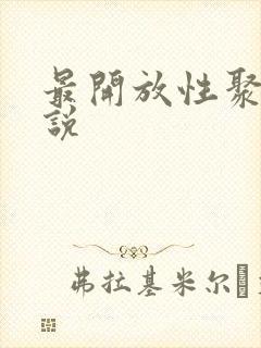 最开放性聚会小说