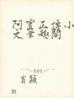 阿宾正传小说全文笔趣阁