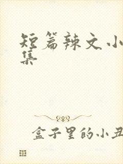 短篇辣文小说合集