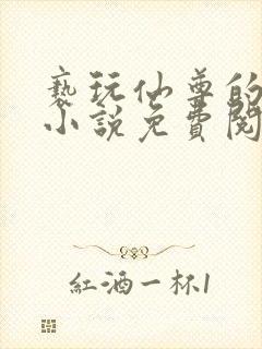 亵玩仙尊的道侣小说免费阅读