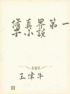 修真界第一病秧子小说
