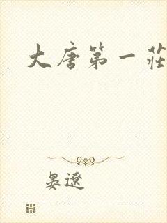 大唐第一庄