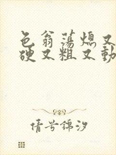 色翁荡熄又大又硬又粗又动态图