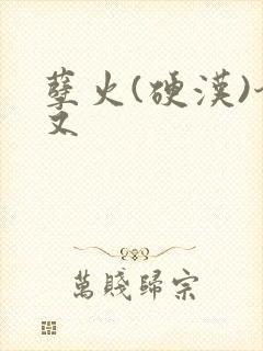 孽火(硬汉)今又