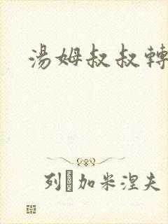 汤姆叔叔转接口