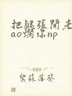 把腿张开老子cao烂你np