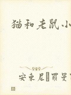 猫和老鼠小说