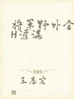 将军野外含公主H灌满