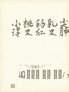 小桃的乳尖被吸得又红又肿