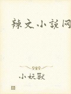 辣文小说网