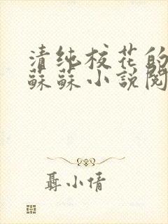 清纯校花的日常苏苏小说阅读全文