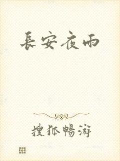 长安夜雨