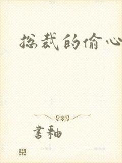 总裁的偷心娇妻