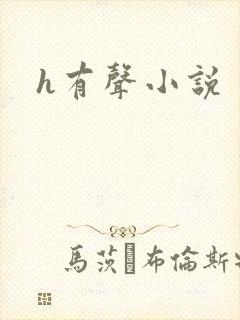h有声小说