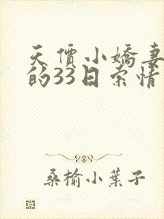 天价小娇妻总裁的33日索情