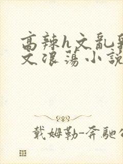 高辣h文乱乳h文浪荡小说苏柔