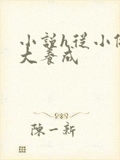 小说h从小做到大养成