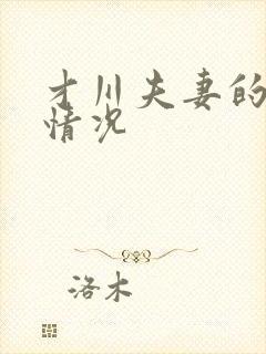 才川夫妻的恋爱情况