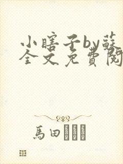 小瞎子by苏软全文免费阅读