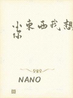 小东西我想弄坏你