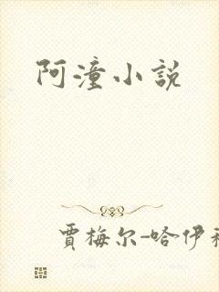 阿潼小说