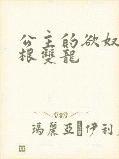 公主的欲奴h四根双龙