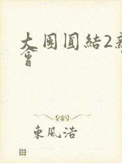 大团圆结2亲情会