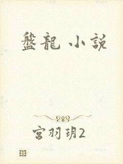 盘龙 小说