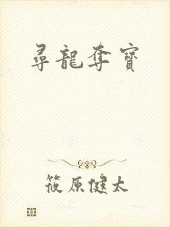 寻龙夺宝