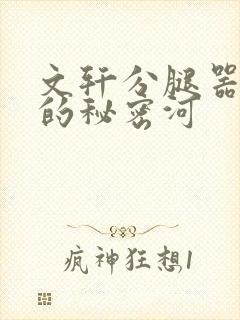 文轩分腿器河马的秘密河