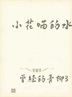 小花喵的水蜜桃