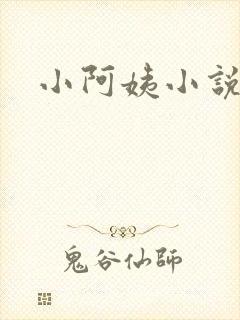 小阿姨小说