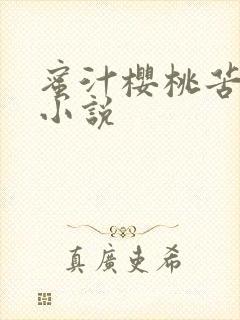 蜜汁樱桃苦咖啡小说