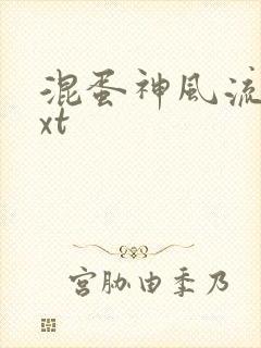 混蛋神风流史txt