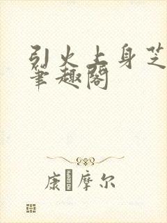 引火上身芝麻糖笔趣阁