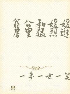 翁公和媛媛在厨房里猛烈进出