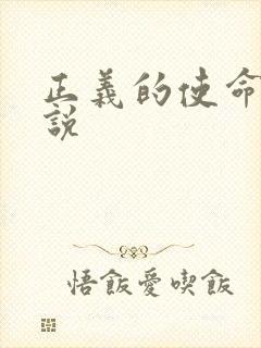 正义的使命 小说