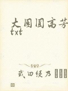 大团圆高芳小说txt