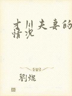 才川夫妻的恋爱情况