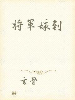 将军嫁到