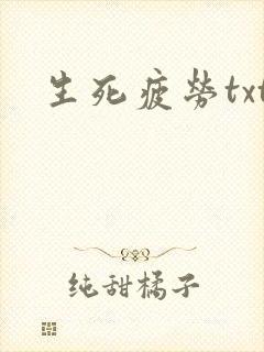 生死疲劳txt