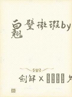 白璧微瑕by连翘