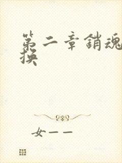 第二章销魂的交换