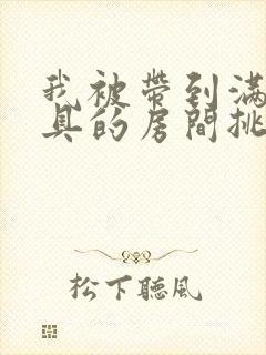 我被带到满是玩具的房间挑调作文