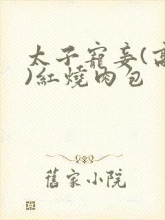 太子宠妾(高肉)红烧肉包